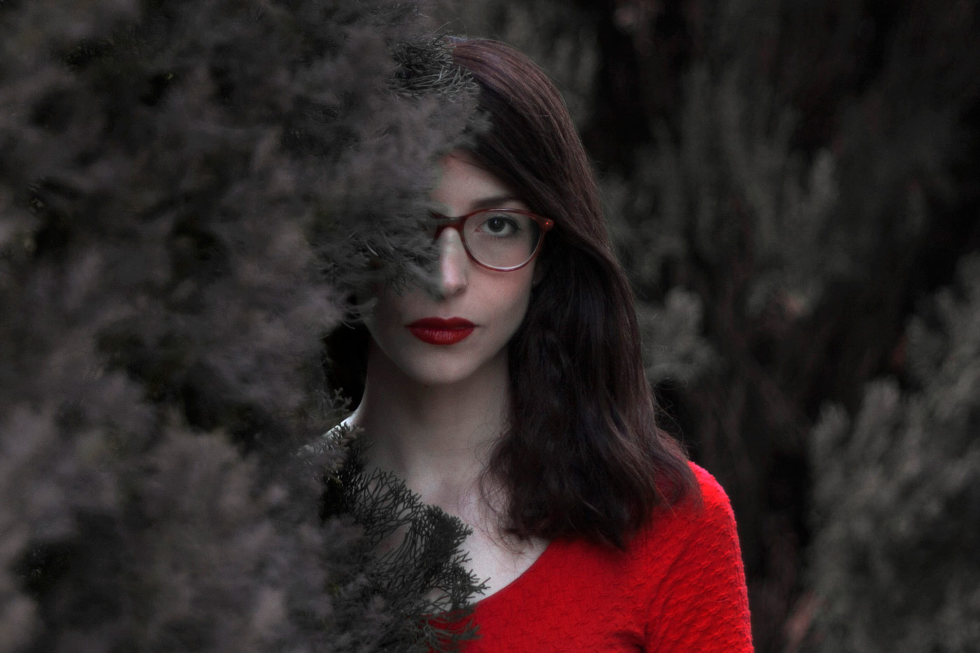 Laura Wächter, ilustradora profesional