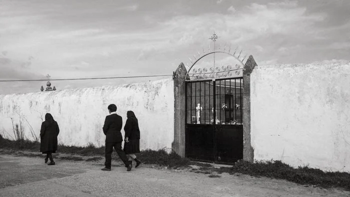 fncac26-foto-elcamposanto